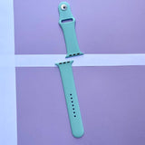 STRAPS (38-40MM)