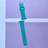 STRAPS (42-44MM)