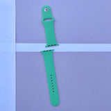 STRAPS (38-40MM)